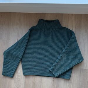 Ann Taylor Forest Green Turtleneck Sweater